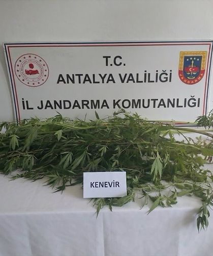 Alanya'da uyuşturucu operasyonunda 4 şüpheli yakalandı