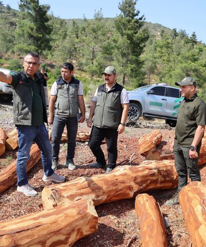 Antakya’daki Orman Üretim Sahaları Denetlendi