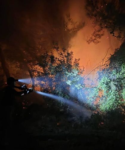 Hatay'da çıkan orman yangını söndürüldü