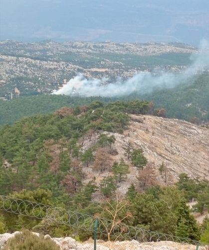 Mersin'de çıkan orman yangınları kontrol altına alındı
