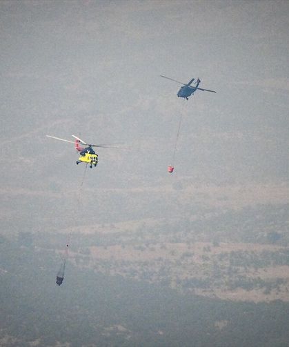 Adana'daki orman yangınına müdahale sürüyor