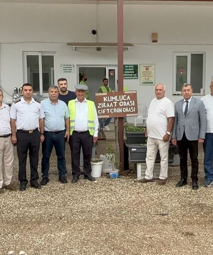 Antalya'da zeytin hasadı başladı