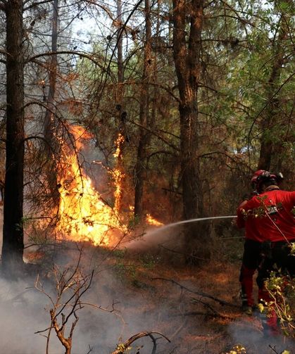 Deprem sonrası gönüllü olan çift orman yangınında omuz omuza mücadele ediyor