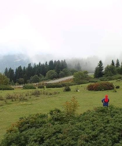 Giresun Kulakkaya Yaylası Doğasıyla  Büyülüyor