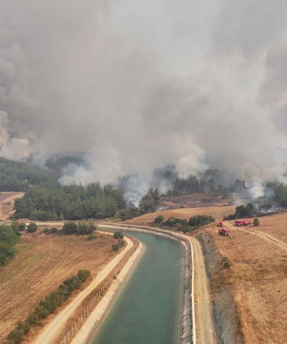 GÜNCELLEME - Adana'daki orman yangını kontrol altına alınmaya çalışılıyor