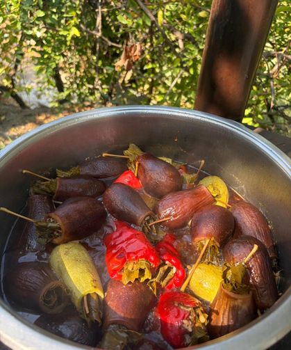 Hatay Antakya'da geleneksel dolma sofraları süslüyor