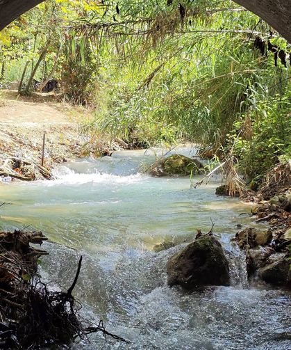 Hatay Defne Aşağı Harbiye’de Doğayla İç İçe Yaşam?