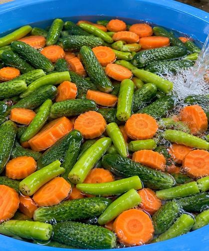 Osmaniye’de Karışık Turşu Hangi Malzemelerle Yapılır?