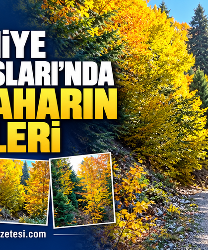 Osmaniye Amanosları’nda Sonbaharın Renkleri