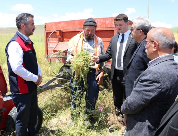 Burdur'da kuraklığa dayanıklı yem bitkisinin hasadı yapıldı