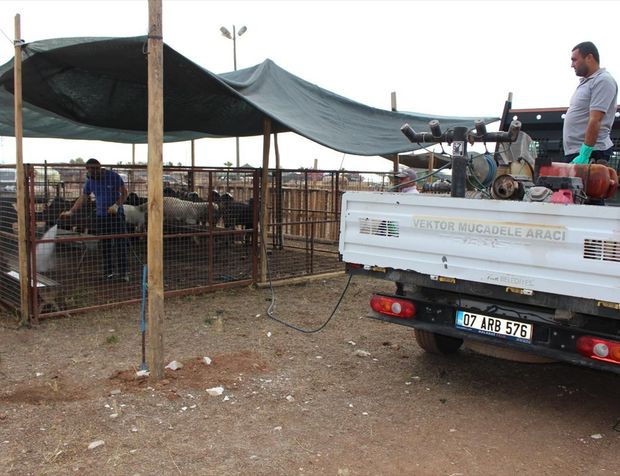 Kumluca'da kurbanlık satışı yapılan alanlar ilaçlandı