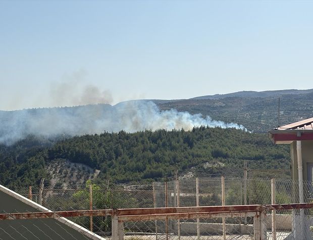 Hatay'da ormanlık alanda yangın çıktı