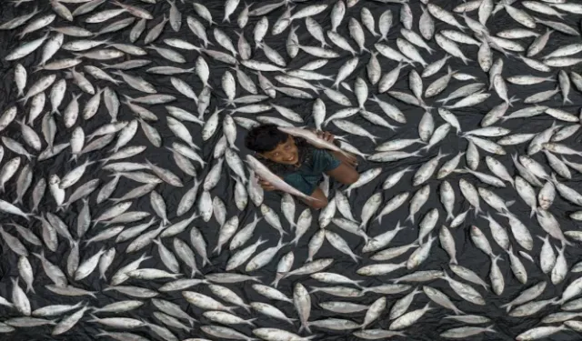 Akdeniz Belediyesi'nin Uluslararası Fotoğraf Yarışması Büyük Katılımla Gerçekleşti