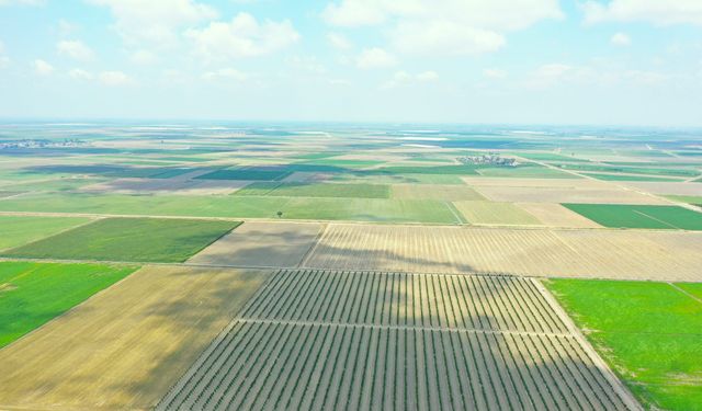 2B arazilerinde ikinci şans: Başvuruyu kaçıranlara tapu yolu açıldı