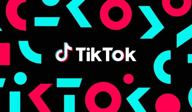 Instagram'ın Yasaklanmasının Ardından TikTok'un Geleceği Belirsiz: Kullanıcılar Endişeli