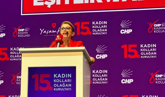 Osmaniye Milletvekili Asu Kaya'dan Yeni Parti Kararı