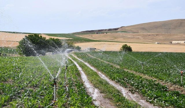 Çukurova’da Su Kıtlığı Alarmı: "Su Yok, Ekim Yok"