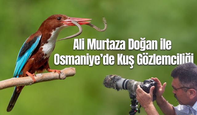 Ali Murtaza Doğan ile Osmaniye’de Kuş Gözlemciliği