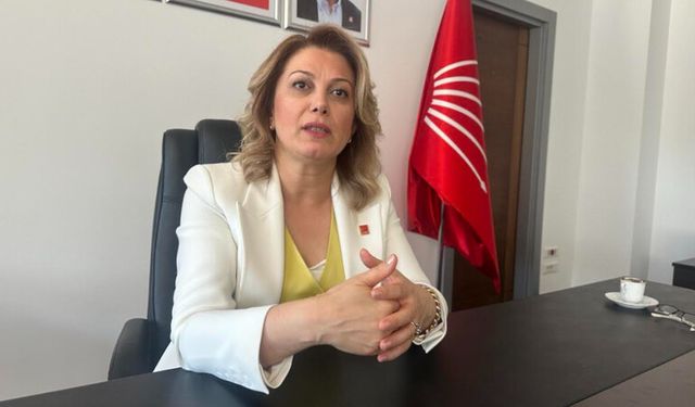CHP’li Kaya’dan MHP'li Başkan Çenet’e Tepki
