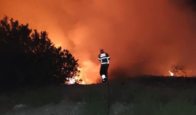 Antakya'da çıkan orman yangını söndürüldü