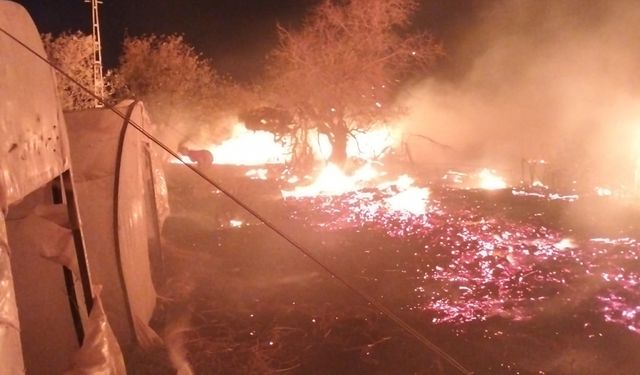 Mersin'de zirai alanda çıkan yangın kontrol altına alındı