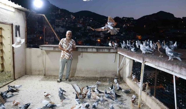 Depremin bile vazgeçiremediği 35 yıllık tutkusunu evinin çatısında sürdürüyor