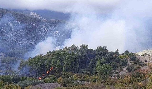 Kumluca’da orman yangınında alevlerin sıçradığı ev kullanılamaz hale geldi