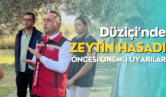 Düziçi'nde Zeytin Hasadı Başlıyor: Müdürden Önemli Uyarılar