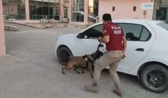 Osmaniye’de Zehir Tacirlerine Darbe! 33 Kilo 400 Gram Skunk Ele Geçirildi