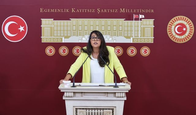 TİP İstanbul Milletvekili Sera Kadıgil’den Polonez İşçilerine Destek