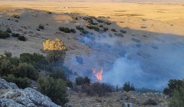 Isparta'da ormanlık alanda çıkan yangın söndürüldü