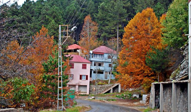 Dörtyol’un Bağrıaçık Yaylası’ndan Doğa Harikası Kareler