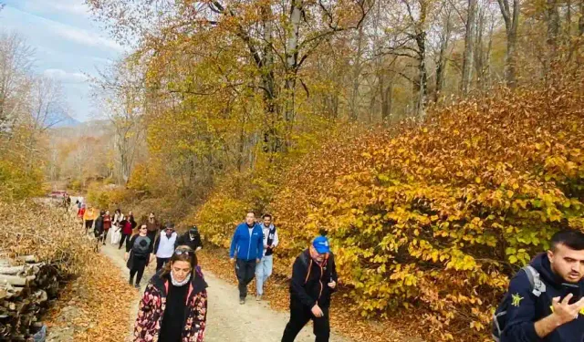 Osmaniye’de Kamp ve Doğa Tutkunlarına Ekipman Önerileri