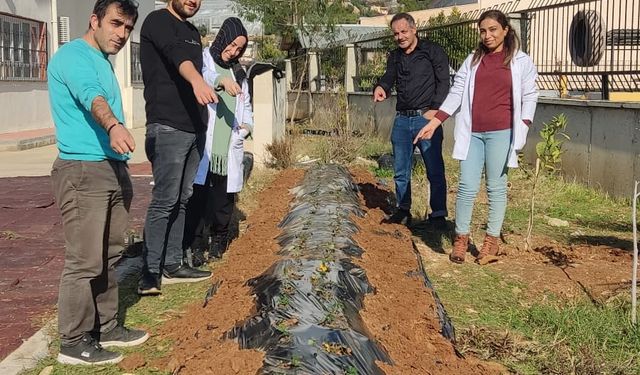 Bozyazı'da engelli öğrenciler fidan dikti