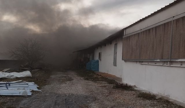 Mersin'de tavuk çiftliğinde çıkan yangın söndürüldü