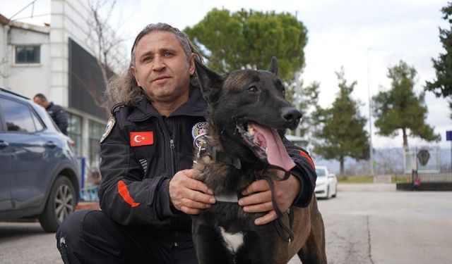 Isparta Emniyetinin göz bebeği "Milon" üçüncü kez ayın narkotik köpeği seçildi