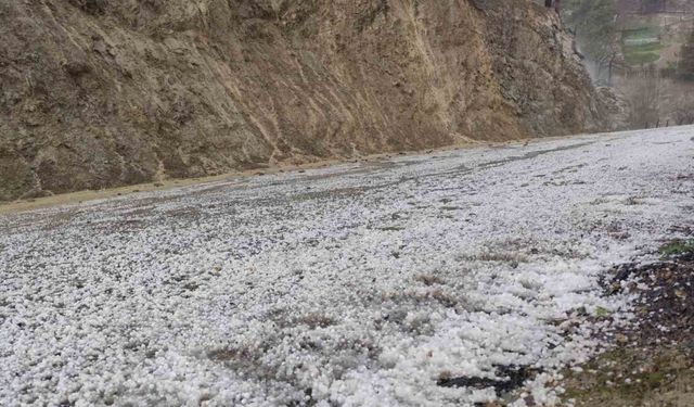 Adana’da dolu yağışı tarım arazilerini beyaza bürüdü