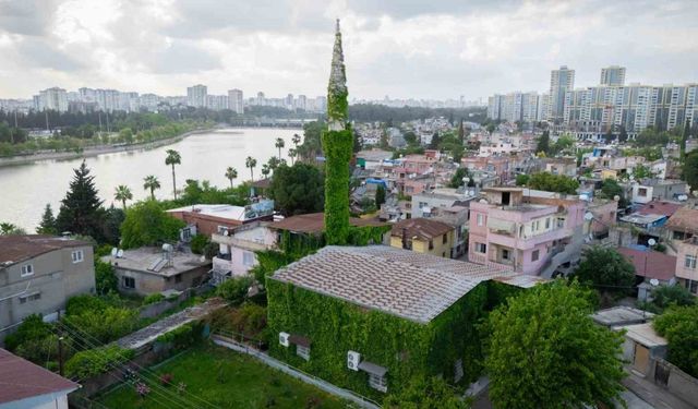 Adana’nın Botanik Bahçesi "Yeşil Cami" sarmaşıklara büründü