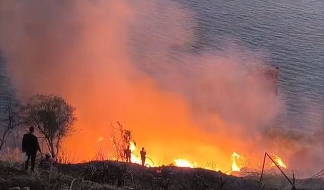 Antalya'da muz bahçesinde yangın