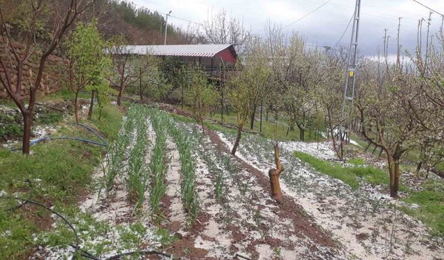 Kozan’da dolu yağışı etkili oldu