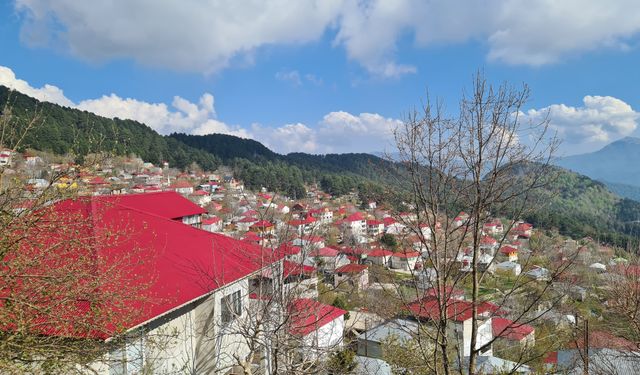 Üçkoz Yaylası Doğaseverleri Bekliyor