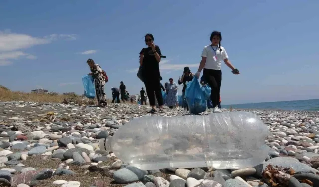 Mersin'de öğrenciler deniz kaplumbağalarının yuvalama alanlarını temizledi