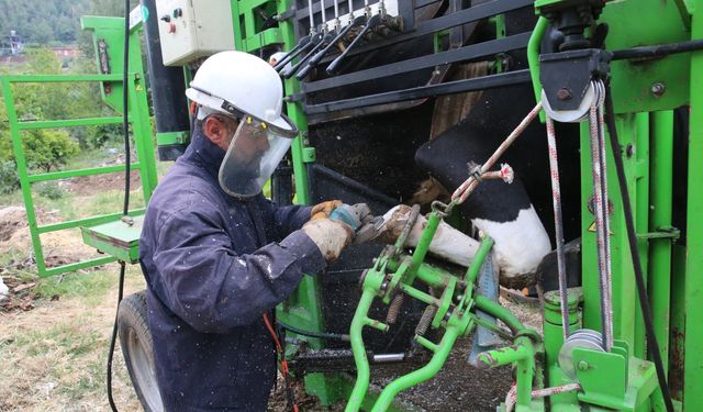 Hatay Büyükşehir Belediyesinden besicilere hayvan bakım desteği
