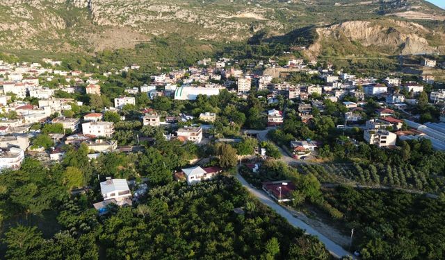 Hatay’da Kuduz Alarmı  4 Mahalle Karantinaya Alındı
