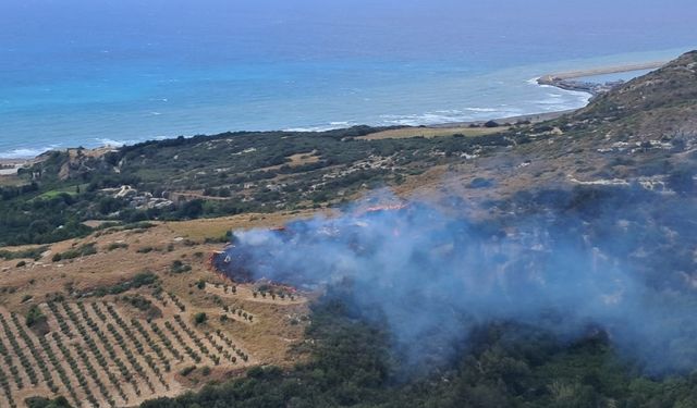 Hatay'da makilik alanda çıkan yangın kontrol altına alındı