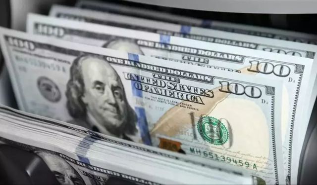 Gelişmiş Ekonomiler Rekor Yük Altında!