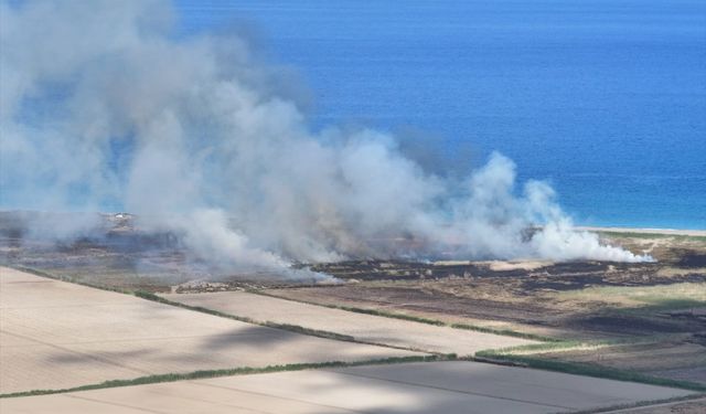 Mersin Göksu Deltası'nda sazlık alanda çıkan yangın söndü