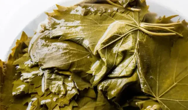 Zeytinyağlı Sarma İçin Kışa Hazırlık Osmaniye’de Başladı