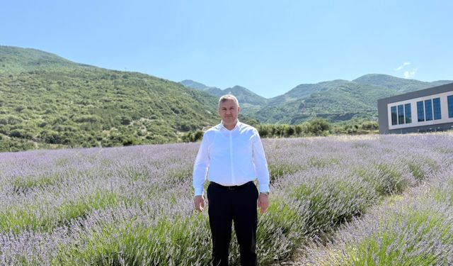 Düziçi’nde Lavanta Mevsimi Başladı