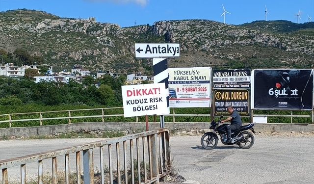 Hatay'da kuduz karantinası uygulanan 4 mahallede sahipsiz köpekler toplatılıyor